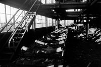 Derelict Rollers