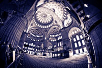Ornate Space