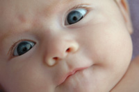 Infant